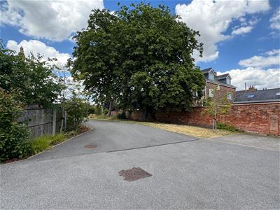 Picture 22